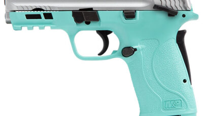 SW M&P380 SHIELD EZ 380ACP ROBIN EGG SILVER