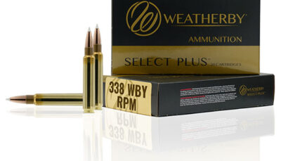 WBY AMMO 338WBY RPM 225GR BARNES TTSX 20/10
