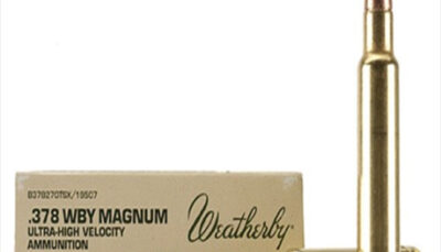 WBY AMMO 378WBY 270GR BARNES TSX 20/10