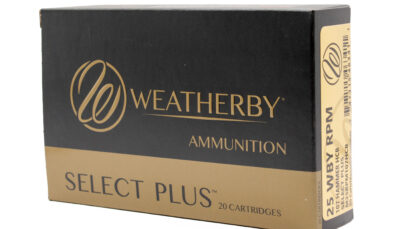 WBY AMMO 25WBY RPM 107GR HAMMER CUSTOM 20/10