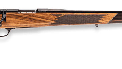 WBY MKV DLX VARMINT MASTER 22-250 24 WALNUT