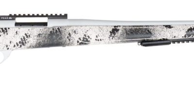 WBY VANGUARD ARCTIC PRO 22-250 REM 24 BRAKE