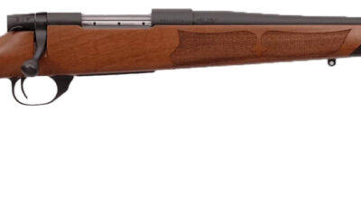 WBY VANGUARD 243WIN 20 CAMILLA SATIN A MATTE #1