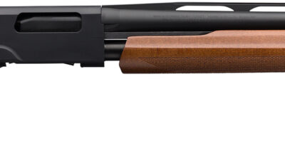 WIN SXP FIELD COMPACT 20GA 28 WOOD 13 LOP