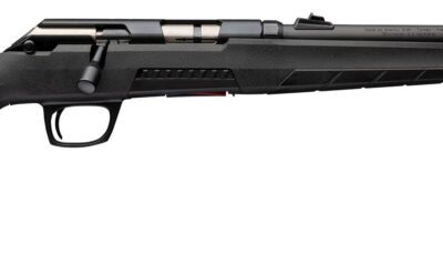 WIN XPERT SHADOW SR 22LR 16.5 10RD