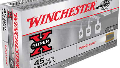 WIN WINCLEAN 45ACP 230GR 50/10