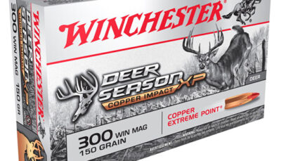 WIN COPPER IMPACT 300WIN 150GR LF 20/10
