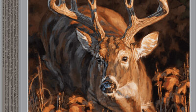 WIN DEER SEASON XP 300WIN 180GR 20/10