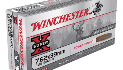 WIN POWER-POINT 7.62X39 123GR 20/10