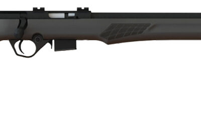 Rossi RB22W2111 RB22 Full Size 22 WMR 5+1, 21" Blued Button Rifled Free Floating Steel Barrel, Blued Stainless Steel Receiver, Black Monte Carlo Stock, Right Hand