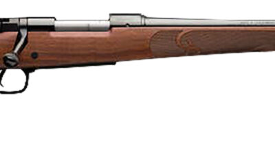Winchester Guns 535200294 Model 70 Featherweight 6.5 PRC 3+1 24" Brushed Polish Blued Satin Walnut Stock Right Hand (Full Size) No Sights