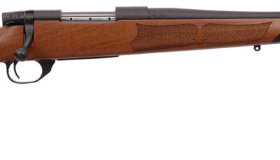 Weatherby VWR223RR0T Vanguard Camilla Compact 223 Win 5+1 20" Matte Blued, Matte Blued Drilled & Tapped Steel Receiver, Grade A Turkish Walnut Monte Carlo Wood Stock