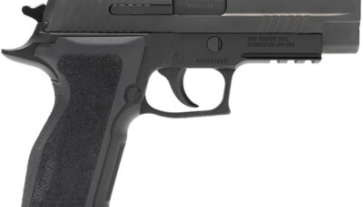 Sig Sauer 226R9BSER2 P226 Elite 9mm Luger 10+1 4.40" Black Nitron Optic Cut/Serrated Stainless Steel E2 Grip