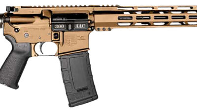 Diamondback DB1718B042 DB15 300 Blackout 30+1 Burnt Bronze Cerakote Picatinny Rail Aluminum Receiver, Black Synthetic Stock