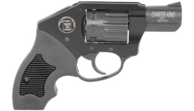 Charter Arms 12311 Walker  22 Mag 8 Shot 2"