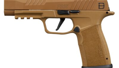 Sig Sauer 365XF9DH310 P365 DH3 Compact 9mm Luger 10+1 3.70" Black DLC Barrel, Coyote Cerakote Stainless Steel Lightening Cut/Optic Ready/Serrated Slide & Frame w/Picatinny Rail, Interchangeable Backst