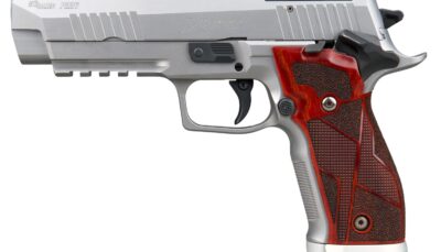 Sig Sauer 226X59XTMSAO10 P226 XFive Classic Full Size 9mm Luger 20+1 5" Bull Barrel, Stainless Steel Optic Ready/Serrated Slide & Frame w/Beavertail & Picatinny Rail, Hogue Cocobolo Grip, SIG-LOC Foot