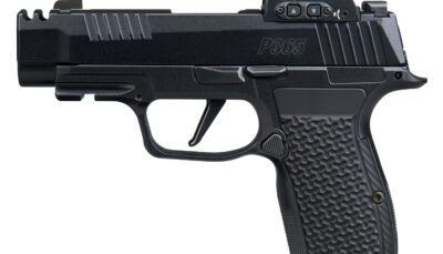 Sig Sauer  P365 AXG LUXE w/Optic Micro-Compact 380 ACP 12+1 3.10" Black Barrel, Black Pearlescent Cerakote Stainless Steel Integrated Compensator/Optic Ready/Serrated Slide, Black Frame w/Picatinny Ra