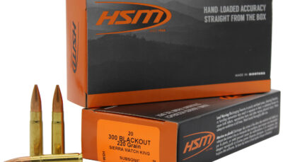 HSM 300BLK4N Match 300 Blackout 220 gr Sierra MatchKing BTHP 20 Per Box/ 25 Case