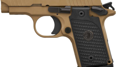 Sig Sauer 238380ESCPN P238 Micro-Compact Emperor Scorpion 380 ACP 2.70" 6+1 & 7+1 Flat Dark Earth Hardcoat Anodized Flat Dark Earth Nitron Stainless Steel Black Hogue G10 Piranha Grip