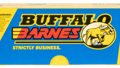 Buffalo Bore Ammunition 47A20 Hunting & Sniping Strictly Business 458SOCOM 300gr Barnes Tipped TSX Lead Free 20 Per Box/12 Case