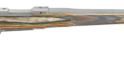 Ruger 17123 Hawkeye Predator Full Size 204 Ruger 5+1 24" Matte Stainless Steel Barrel, Integral Scope Mounts Stainless Steel Receiver, Green Mountain Fixed Laminate Stock