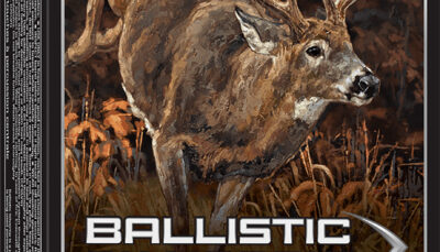 Winchester Ammo SBST243A Ballistic Silvertip 243Win 95gr Rapid Controlled Expansion Polymer Tip 20 Per Box/10 Case