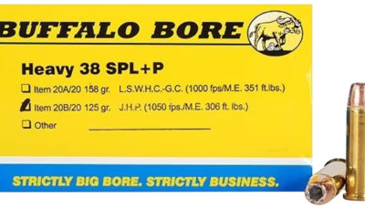 Buffalo Bore Ammunition 20B20 Heavy Strictly Business 38Special +P 125gr Jacket Hollow Point 20 Per Box/12 Case