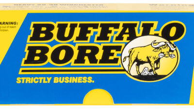 Buffalo Bore Ammunition 20E20 Standard Pressure Strictly Business 38Special 125gr Jacket Hollow Point 20 Per Box/12 Case