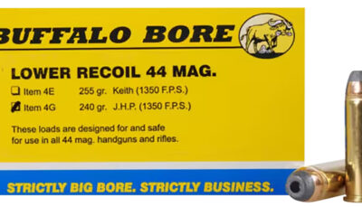 Buffalo Bore Ammunition 4G20 Low Recoil Strictly Business 44Rem Mag 240gr Jacket Hollow Point 20 Per Box/12 Case