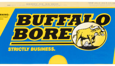 Buffalo Bore Ammunition 11C20 Heavy Strictly Business 38-55Win 255gr Semi Jacketed Flat Point 20 Per Box/12 Case