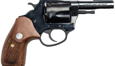 Charter Arms 34431 Bulldog Special Classic Large 44 Special, 5 Shot 3" Blued Carbon Steel Barrel, Cylinder & Frame w/Wood Grip
