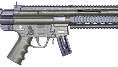 ATI GSG-16 22LR 16.25 ODG 10RD