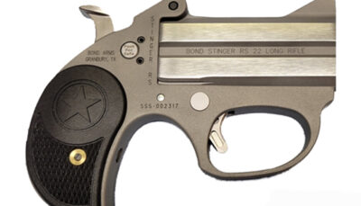 BOND STINGER RS 22LR 3 SS FRAME