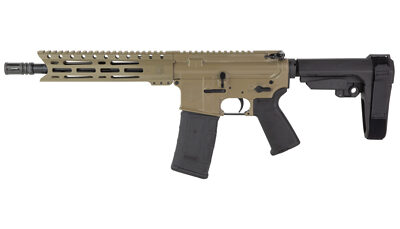 DBF DB15 300BLK 10" 30RD FDE BRACE