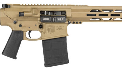 DBF CARBON DB10 308WIN 13.5 FDE SBA3 20RD