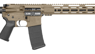 DBF DB15 CARBON 5.56 16 MLOK 15 FDE MOE PR 30RD