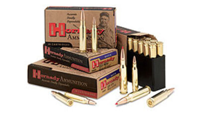 HORN MATCH 223REM 73GR E ELD 20/10