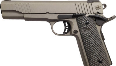 RIA 1911 ROCK 45ACP FULL SIZE 5 8RD EFS GREY