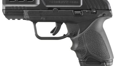 RUG SECURITY 380 380ACP 3.42 10RD MA COMP