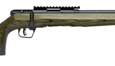 SAV B17 TIMBER TACTICAL 17HMR ODG 18 10RD