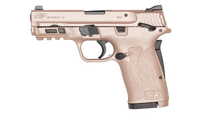 S&W SHIELD 2.0 EZ 380ACP 8RD RS GLD