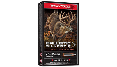 WIN BLSTC TIP 2506RM 115GR 20/200