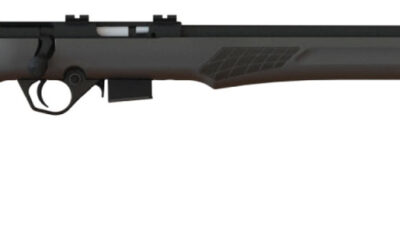 Rossi RB17H2111 RB17 Full Size 17 HMR 5+1, 21" Matte Black Button Rifled Free Floating Steel Barrel, Matte Black Stainless Steel Receiver, Black Fixed Monte Carlo Stock, Right Hand