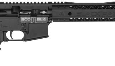 Black Rain BROSPEC15300BLK Spec15  300 Blackout 16" 30+1 Black Hard Coat Anodized Enhanced G.I. Sopmod Stock