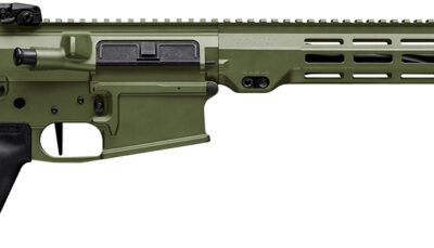 Maxim Defense MXM49684 MD10 L 308 Win 20+1 16" Fluted Barrel, Bazooka Green Cerakote Finish, M-LOK Handguard, Black Magpul Furniture, SL-K Stock, MVG Grip, MBUS Sights, Blackout Defense Flat Trigger