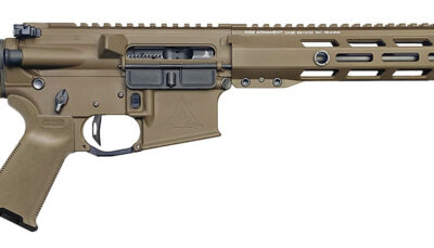 RISE WM22ARC-FDE-18     WATCHMAN XR 22ARC   18"