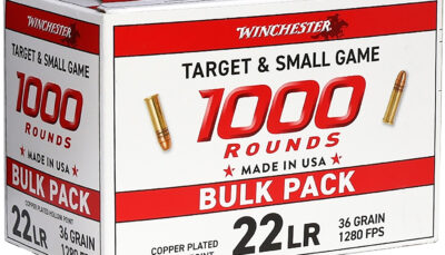 Winchester Ammo 22LR1KHP   22LR 36gr Plated Hollow Point 1000 Per Box/2 Case