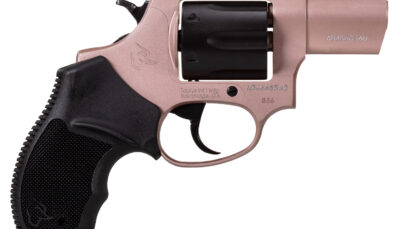 Taurus 2-8562KQ 856 Small 38 Special +P, 6 Shot 2" Stainless Steel Barrel, Stainless Steel Frame, Transfer Bar Safety, Exposed Hammer