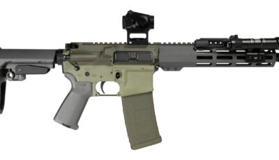 Shark Coast Tactical SCC06872BUGBR300P Bug Bear Bundle 300 Blackout 30+1 10" Threaded Barrel, Aluminum Receiver w/Picatinny Rail, M-LOK Handguard, Polymer SB Tactical SBA3 Brace, Streamlight ProTac Ra